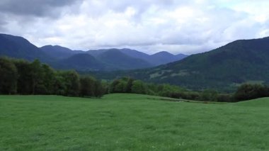 Yeşil çayır hills