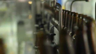 Bira şişe Konveyör bant