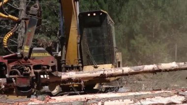 Orman ağaç işleme makinesi