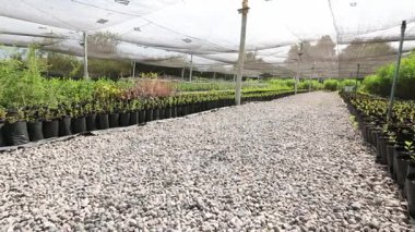 Kamera yavaş yavaş bir kreş ileriye