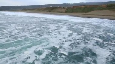 Dağ ormanı manzarası