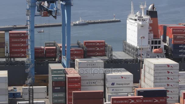 Puerto grúa elevador contenedor — Vídeos de Stock