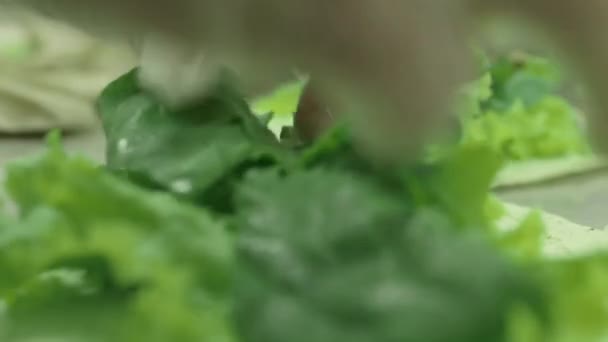 Sandwich being prepared by gloved hands — Stock Video