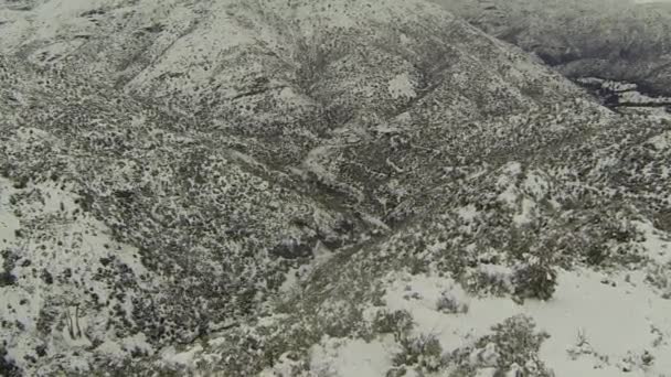Karlı hill valley yaprak — Stok video