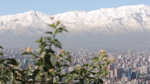 Cidade com montanhas e flores — Vídeo de Stock