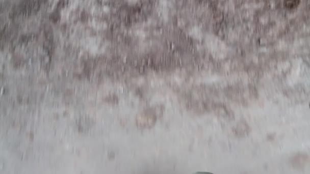 Турист пустыни Атакама — стоковое видео