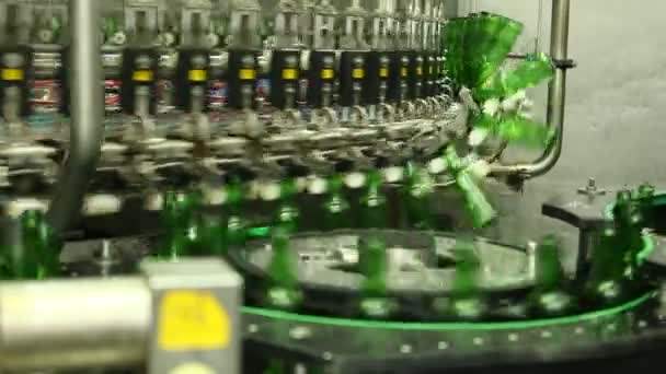 Garrafas de cerveja na correia transportadora — Vídeo de Stock