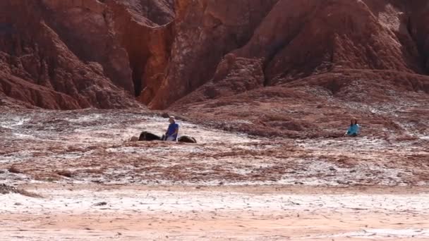 Tourists riding horses in desert — Stock Video