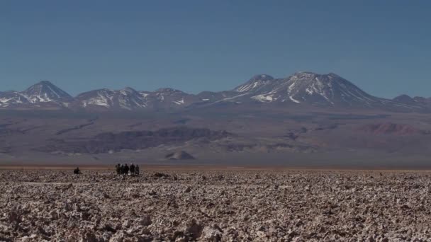 Salzsee in der Atacama-Wüste — Stockvideo