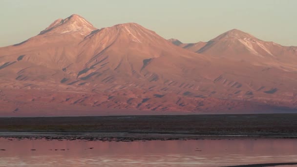 Lake in Atacama woestijn — Stockvideo