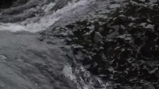 Hareketli nehir şelale yakın çekim — Stok video
