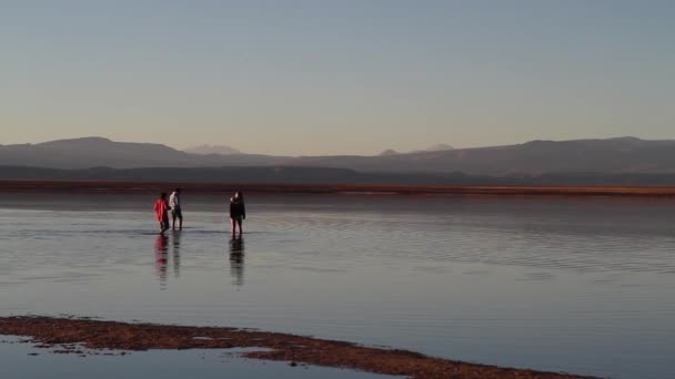 Lake in Atacama woestijn — Stockvideo