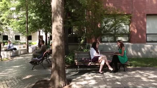 Mujeres hablan mientras están sentadas en un banco — Vídeo de stock