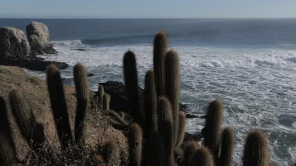 Océan dans le sud du Chili — Video