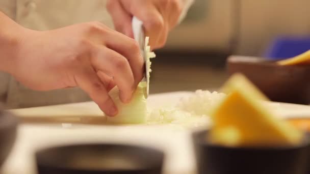 Hands chopping onion — Stock Video