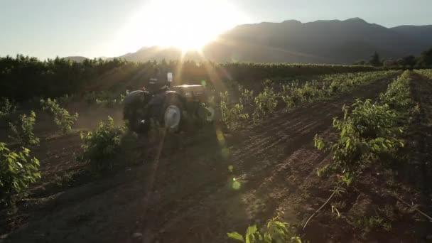 Traktor som arbetar på ett fält — Stockvideo