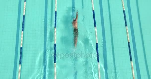 Nadador nadando en la piscina — Vídeo de stock