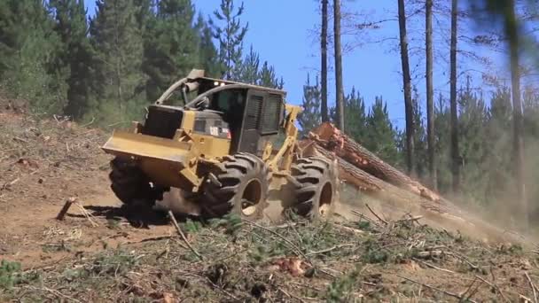 Skogsmaskiner hugga träd — Stockvideo
