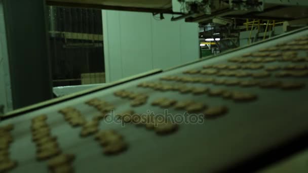 在带式输送机上的饼干 — 图库视频影像
