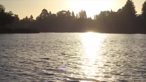 ボートから湖ハメ撮り — ストック動画