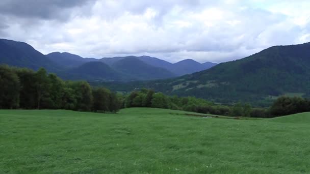 Collines verdoyantes 