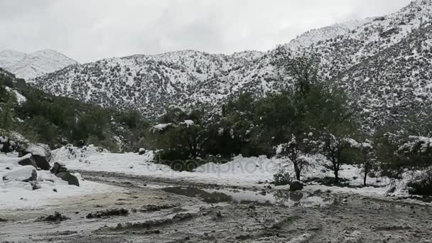 Ciężarówka w śnieżny krajobraz — Wideo stockowe
