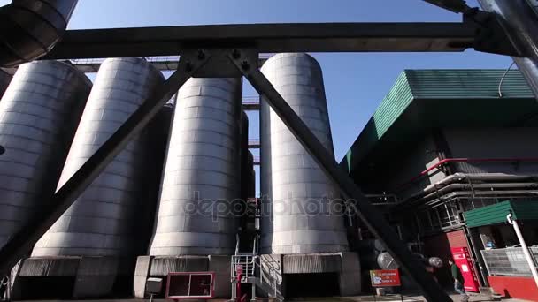 Wide shot of brewery vats — Stock Video