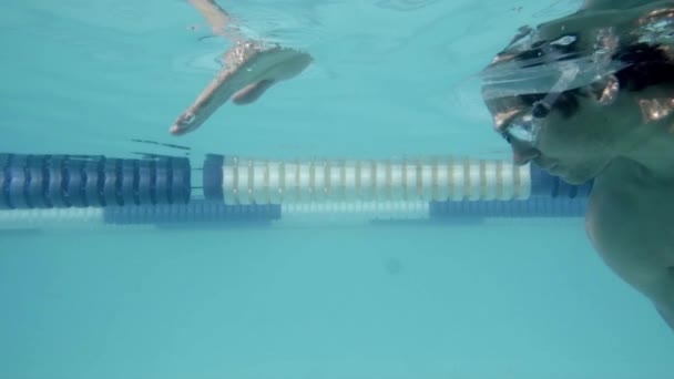 Swimmer swimming in pool — Stock Video