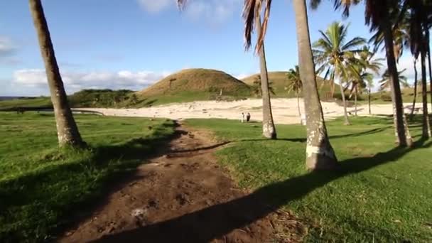 Rapanui wandelingen langs het strand — Stockvideo