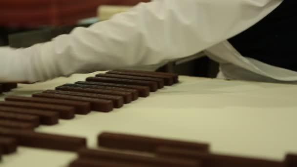 Production de chocolat sur bande transporteuse industrielle — Video