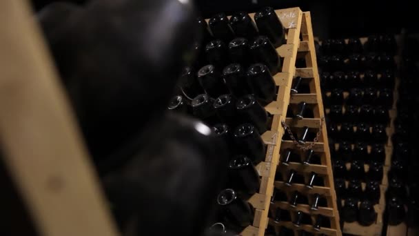 Wine cellar with bottles — Stock Video