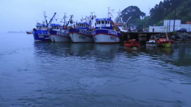 Barcos de pesca na baía — Vídeo de Stock