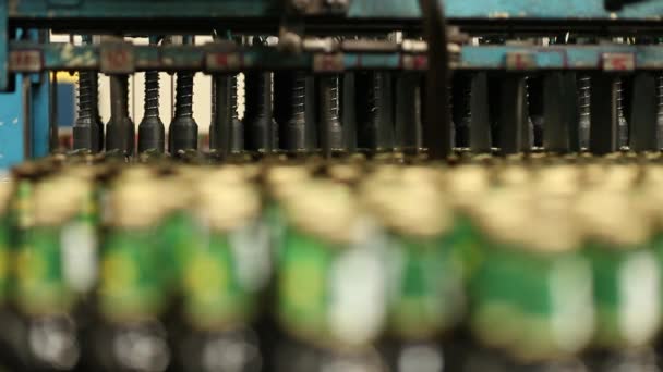 Bras mécaniques cueillette bouteilles de bière — Video