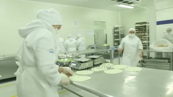 工業用キッチンで働く女性 — ストック動画