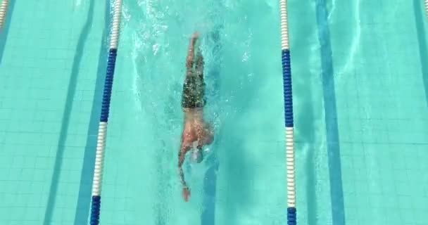 Nadador nadando en la piscina — Vídeo de stock