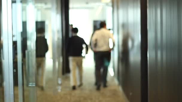 Office corridor with people — Stock Video