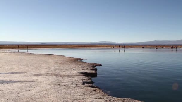 Lake in Atacama woestijn — Stockvideo