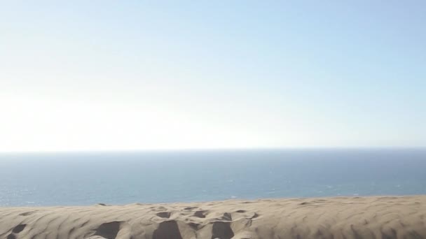 Vue sur l'océan depuis les dunes — Video