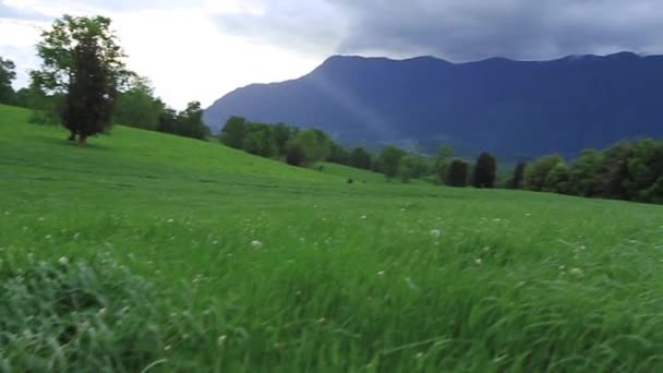 Pradera verde y colinas — Vídeos de Stock