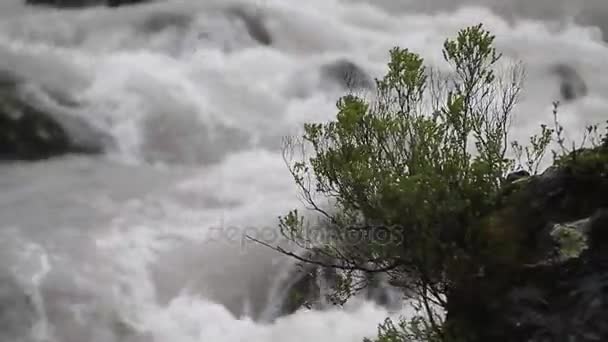 Corriente del río con espuma — Vídeo de stock
