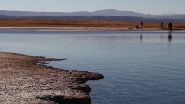 Sjö i Atacamaöknen — Stockvideo