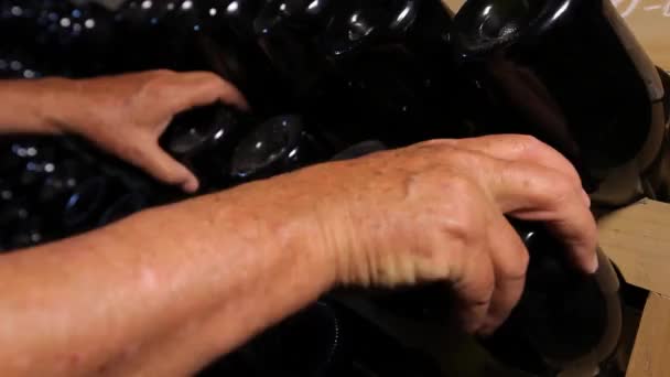 Şişe şarap mahzeni — Stok video