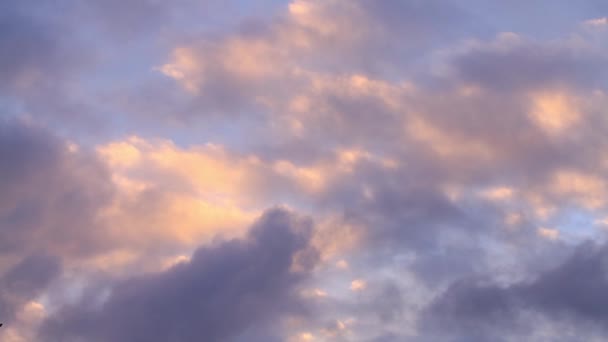 Wide shot van wolken — Stockvideo