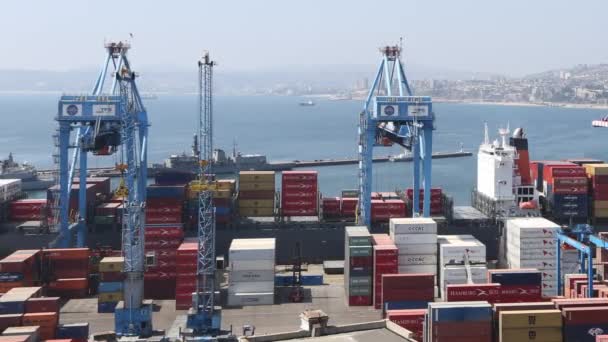 Grúas trabajando en el puerto — Vídeos de Stock