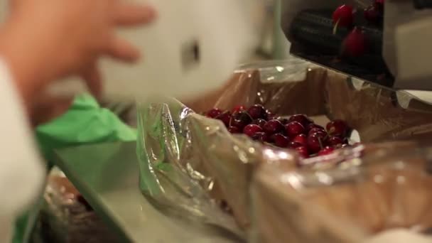 Cerises sur un tapis roulant en cours de tri — Video