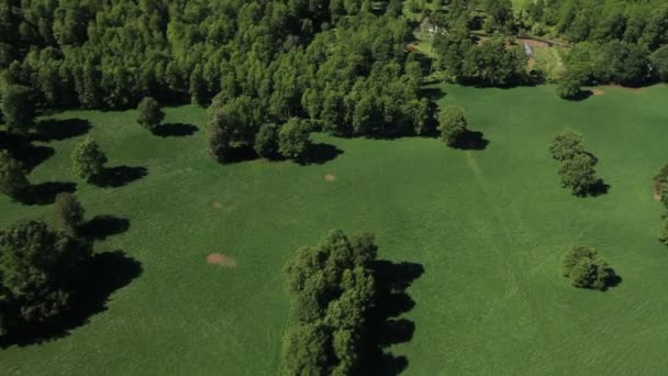 Waldbäume im ländlichen Raum — Stockvideo