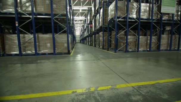 En anställd använder en gaffeltruck för att bära lådor — Stockvideo