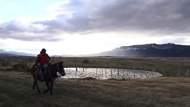 Человек, идущий на лошади — стоковое видео
