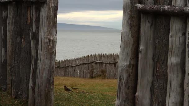 木栅栏和海洋 — 图库视频影像