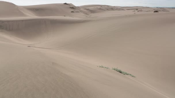 Tire tracks on sand dunes — Stock Video